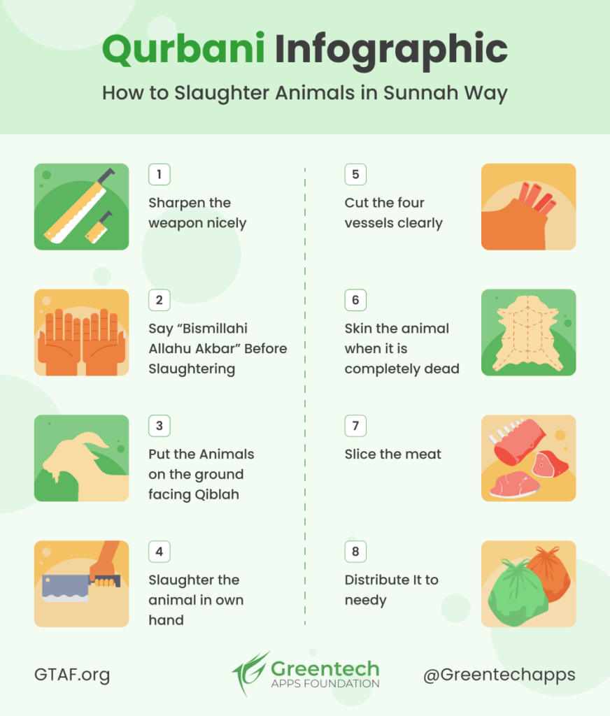 How to Slaughter Animals in Sunnah Way