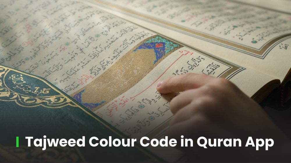 Tajweed colour code – Never miss a tajweed again