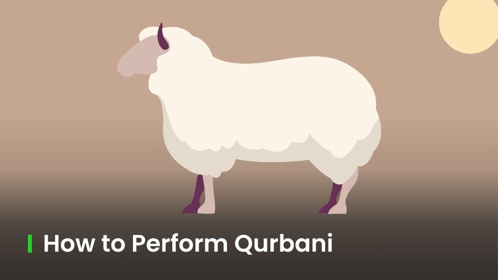 How to Perform Qurbani: Step-by-Step Guide with Infographic