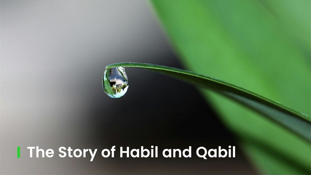 The Story of Habil and Qabil: The History of the First Qurbani in Islam